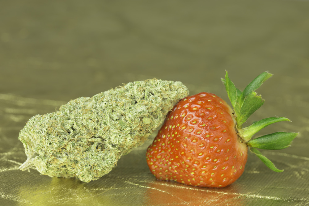 An image of a nug of cannabis flower leaning against a strawberry to indicate that this is a blog about fruity weed strains.