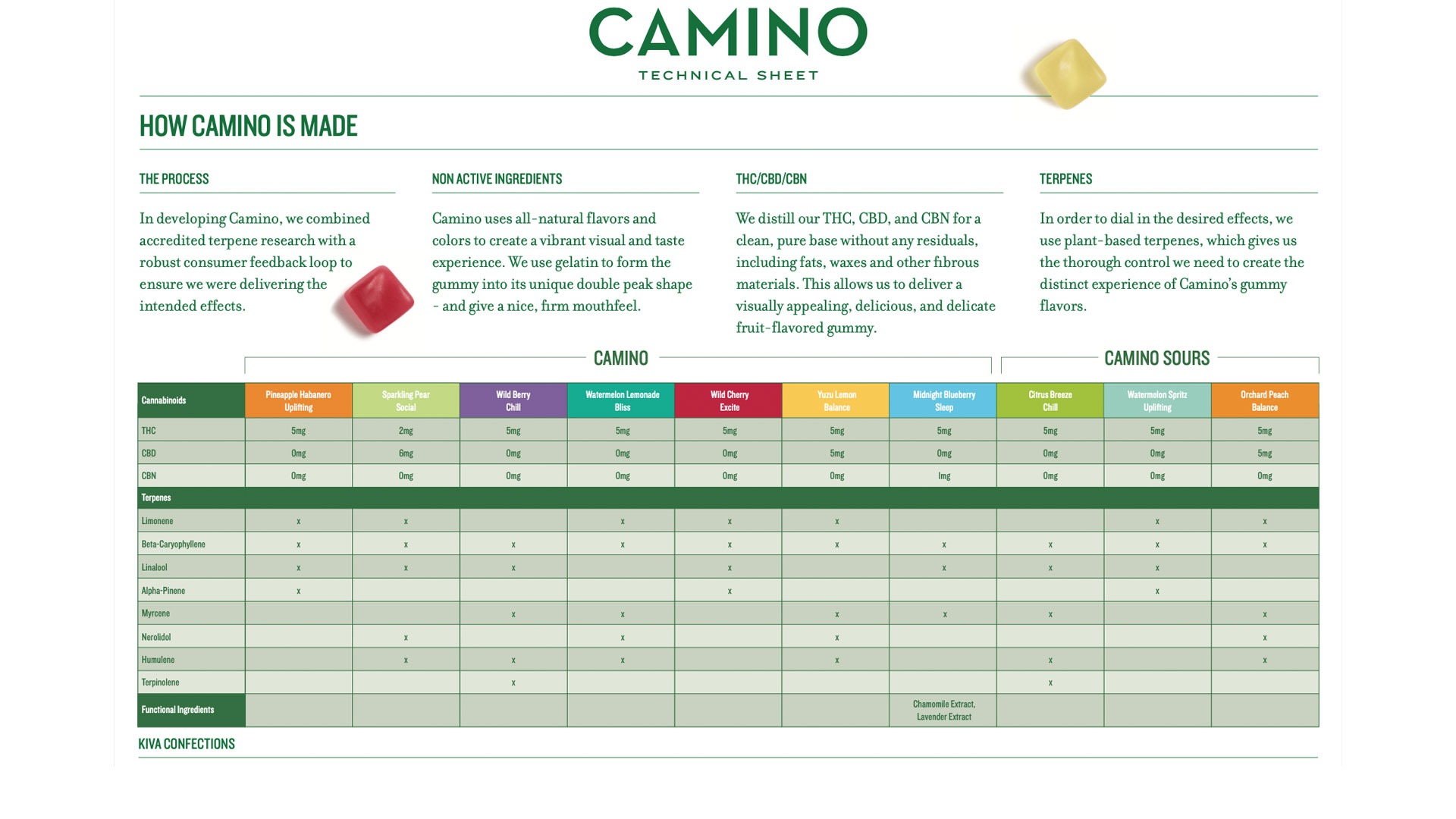 CAMINO